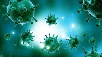 Zinc Oxide Helps Prevent Bacterial Infections - PT Citra CakraLogam