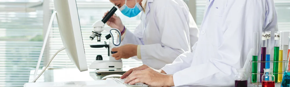 zinc oxide in vietnam citra cakralogam