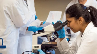 zinc-oxide-nanoparticles_thumbs